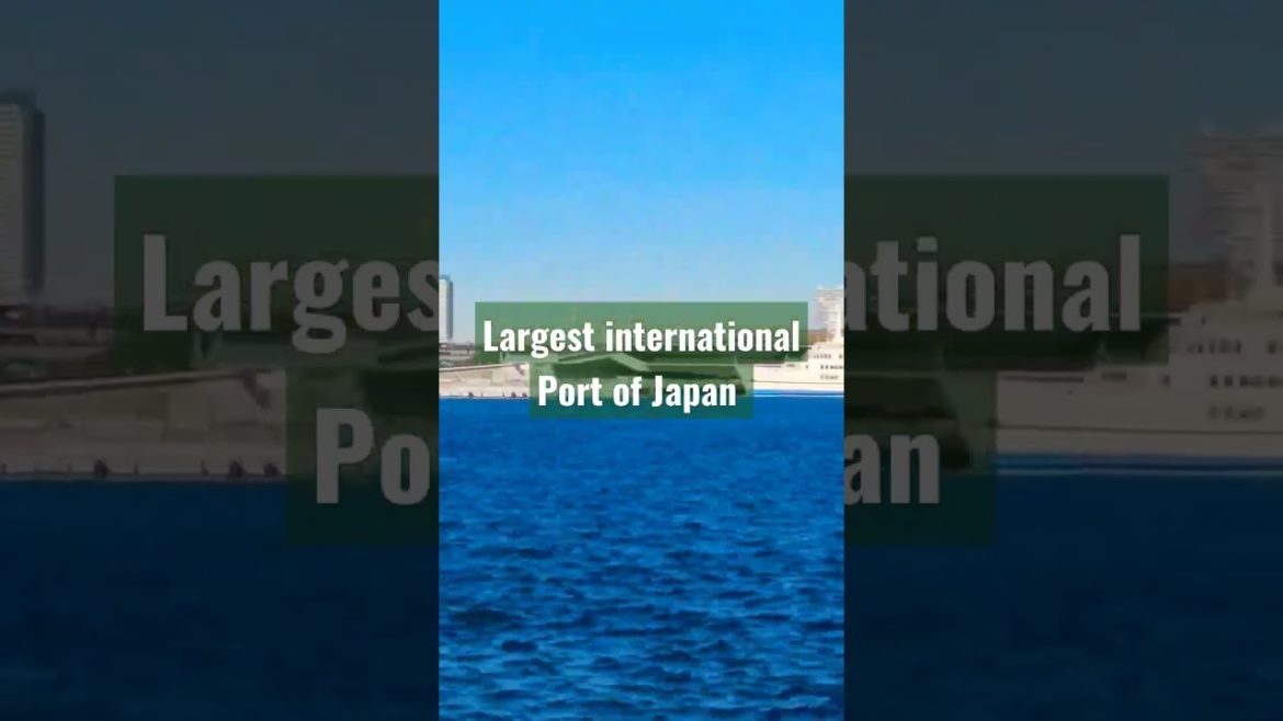 Yokohama Sea Port.    #shorts #japan #travel