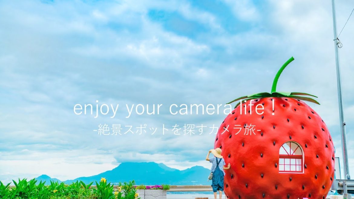 ポップでキュートな世界