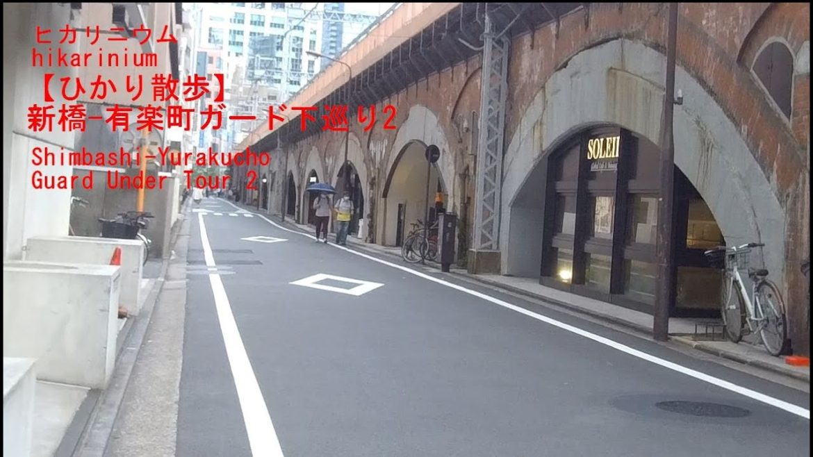 新橋 有楽町ガード下巡り2　Shimbashi Yurakucho Guard Under Tour 2