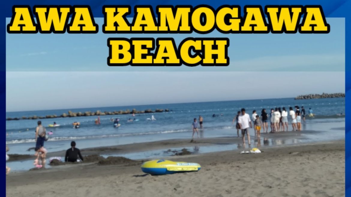 Awa Kamogawa Beach | Beach of Awa Kamogawa#shorts Awa Kamogawa Beach | Beach of Awa Kamogawa#shorts