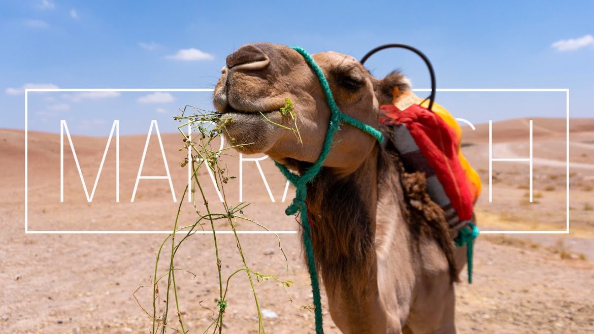 Marrakech 4K - Morocco - CINEMATIC TRAVEL VLOG - 3 days in Marrakech - Sony ZV-E10 - Insta360 One X2