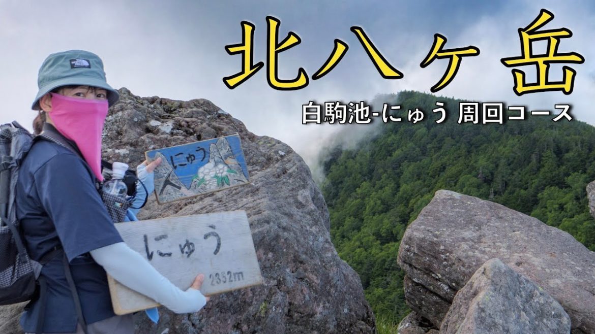 【北八ヶ岳】白駒池〜にゅう〜高見石小屋の揚げパン | 苔の森【日帰り登山】 【北八ヶ岳】白駒池〜にゅう〜高見石小屋の揚げパン | 苔の森【日帰り登山】