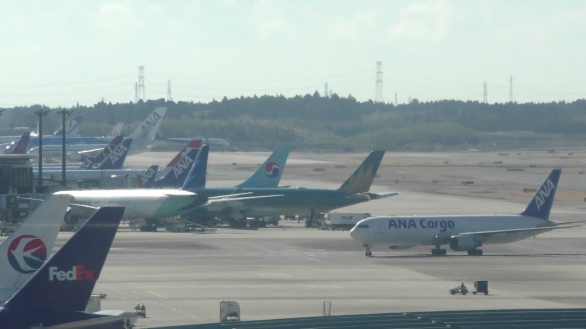 Tokyo Narita Airport LIVE 747 Galore New Zip Air Near the Terminal