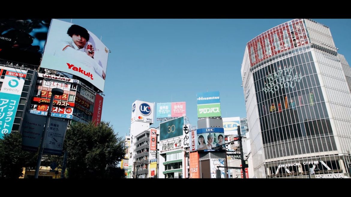 Encounter the Unique Culture of Wakayama in Shibuya／紀の国わかやま文化祭2021 in 渋谷
