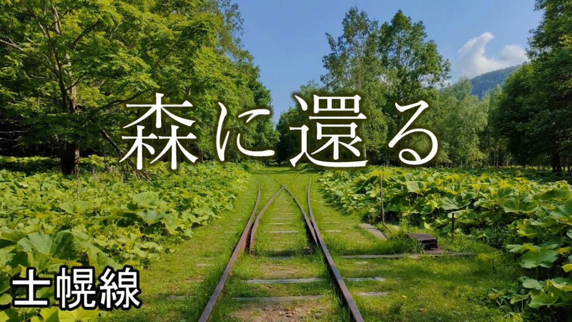 ルピナス咲く森に還る廃駅. 国鉄士幌線跡をめぐる旅 後編. Steel on Hayabusa 隼 in Hokkaido 北海道 #24‐2022 廃線 タウシュベツ橋梁 ルピナス咲く森に還る廃駅. 国鉄士幌線跡をめぐる旅 後編. Steel on Hayabusa 隼 in Hokkaido 北海道 #24‐2022 廃線 タウシュベツ橋梁