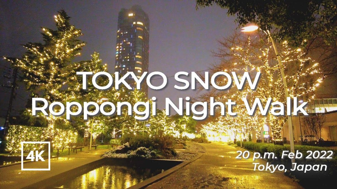 [4K] Japan walk tour| Snowfall in Tokyo | Feb 2022 Roppongi |東京2月10日の大雪