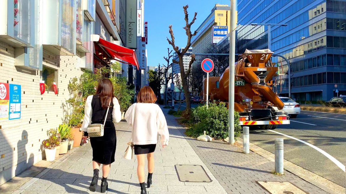 【4K】Japan Walking Tour – Relaxing Walk in Nagoya【25/1/2021】 【4K】Japan Walking Tour - Relaxing Walk in Nagoya【25/1/2021】