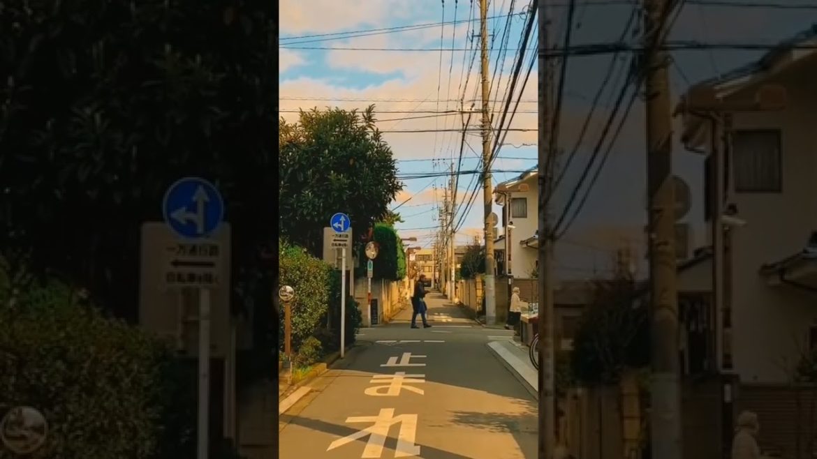 Japan's Streets Short Tour!! 🎍