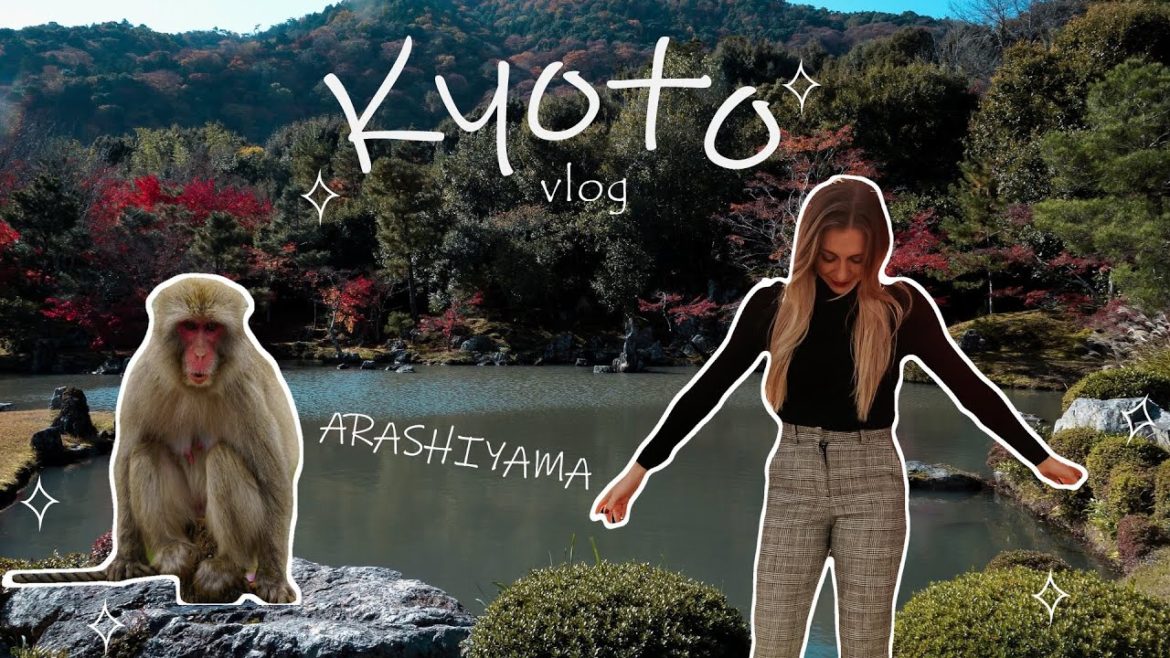 A DAY IN ARASHIYAMA, KYOTO | Japan's best Monkey Park! π A DAY IN ARASHIYAMA, KYOTO | Japan's best Monkey Park! π