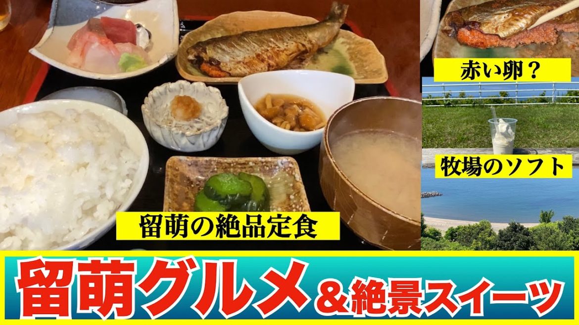 【肴や＆礼受牧場 トリム】留萌の地物を使った定食屋で食べる絶品ランチ　異色の組み合わせ　ニシンのお腹になんと🔴🔴が入ってる❗️😵　留萌の海を見下ろす絶景牧場のソフトクリーム