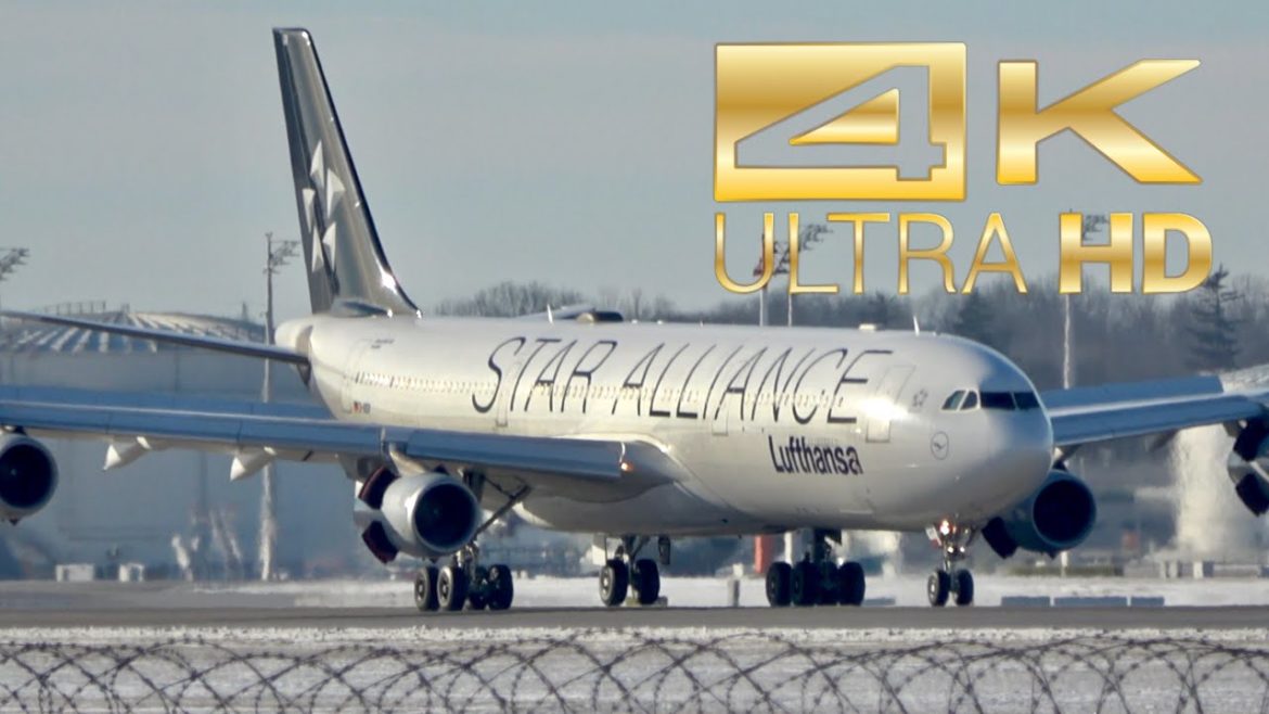 (4K) Lufthansa Star Alliance Livery Airbus A340-313 D-AIGV arrival at Munich Airport MUC EDDM