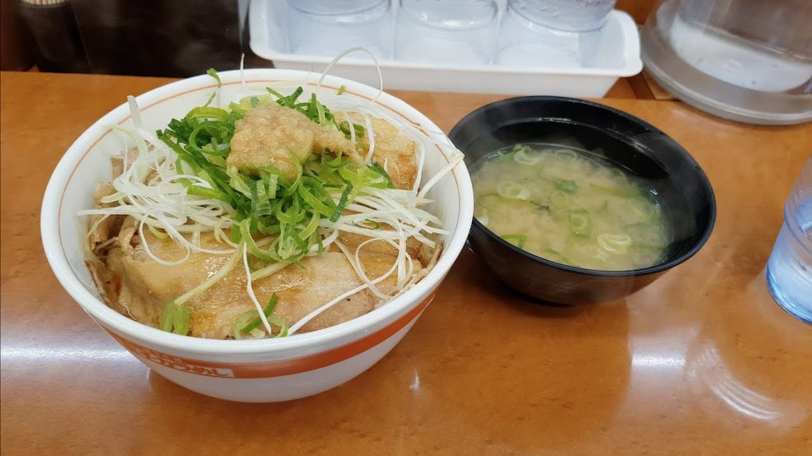 부타동 먹으러 왔는데 김이 모락모락! (일본 오사카 덴덴타운 여행)