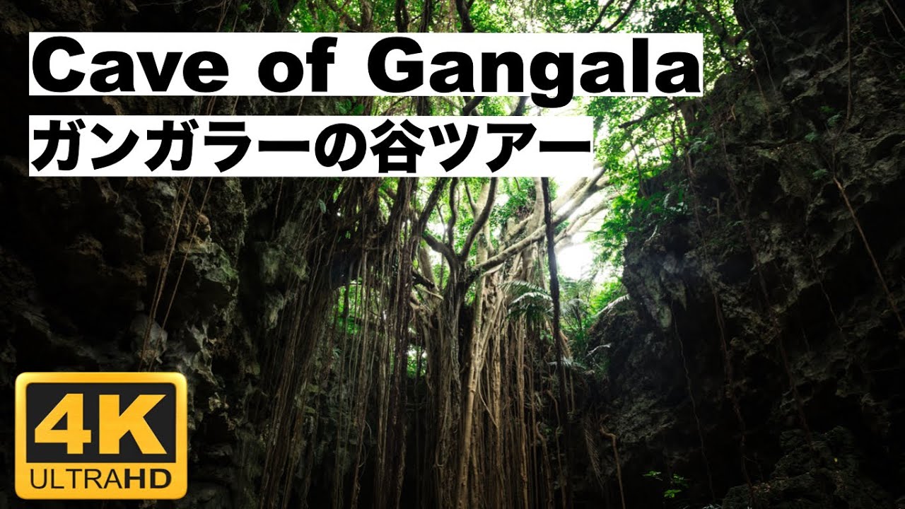 [4K] Mysterious Cave Tour in Okinawa | 沖縄ガンガラーの谷ツアー | 行くか迷っている人は絶対見るべき ...