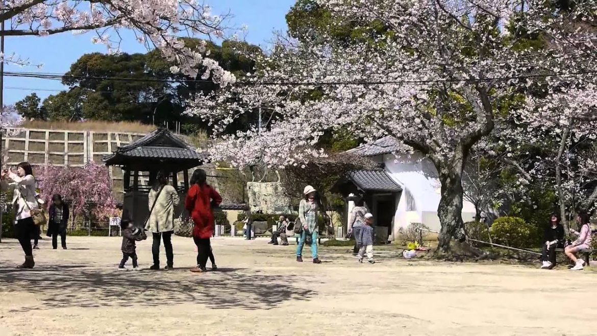 Spring Temples in Japan 2013 - Panasonic GH2 HD Video 1080p