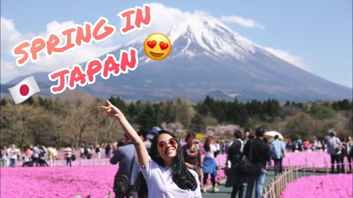 Spring Trip to Japan 🌸