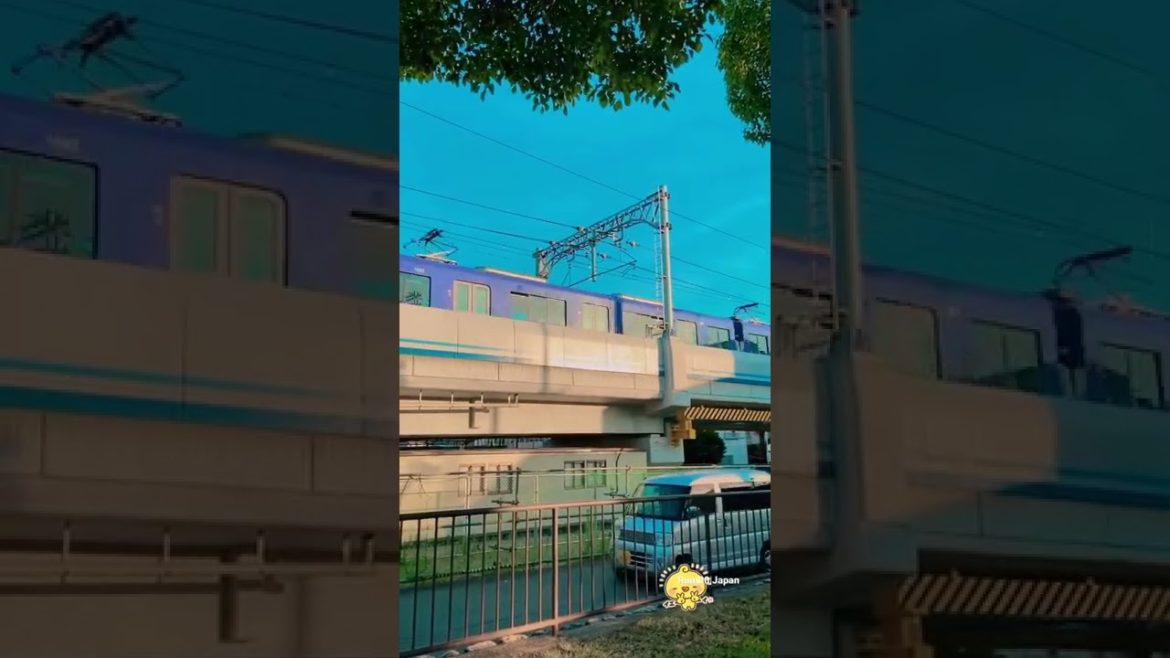 Summer #japan #summer #kobe #nature #kobecity #bekobe