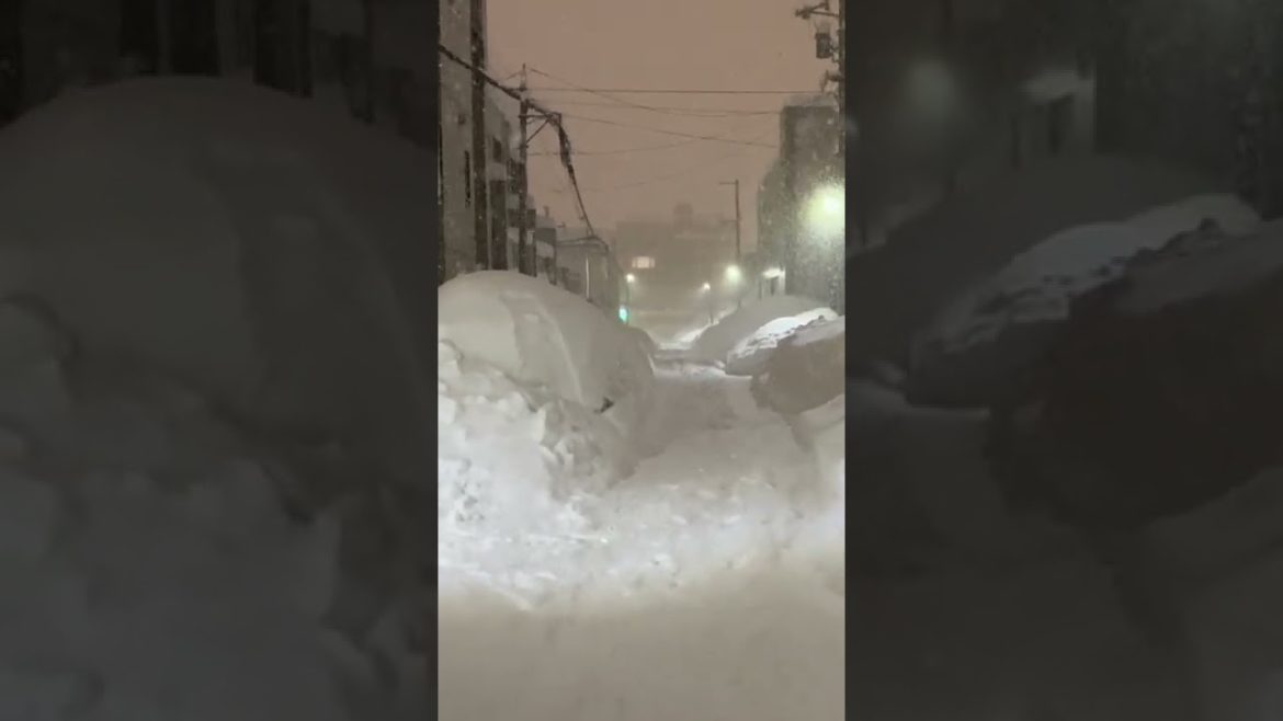 Record Breaking Snow in Sapporo #Shorts
