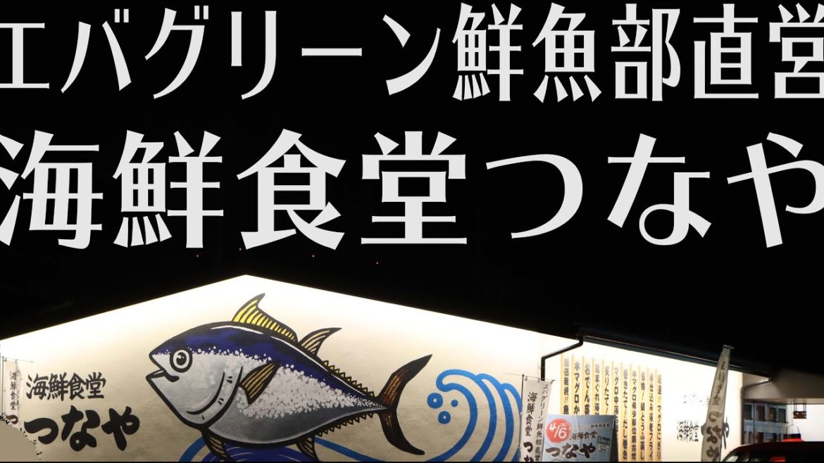 エバグリーン鮮魚部直営 海鮮食堂つなや 謎にバイトが優秀な店 たっくんとみぃちゃん うろうろ和歌山