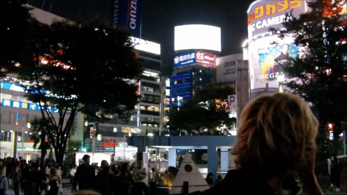 Japan-Austausch 2010 Teil 2/2