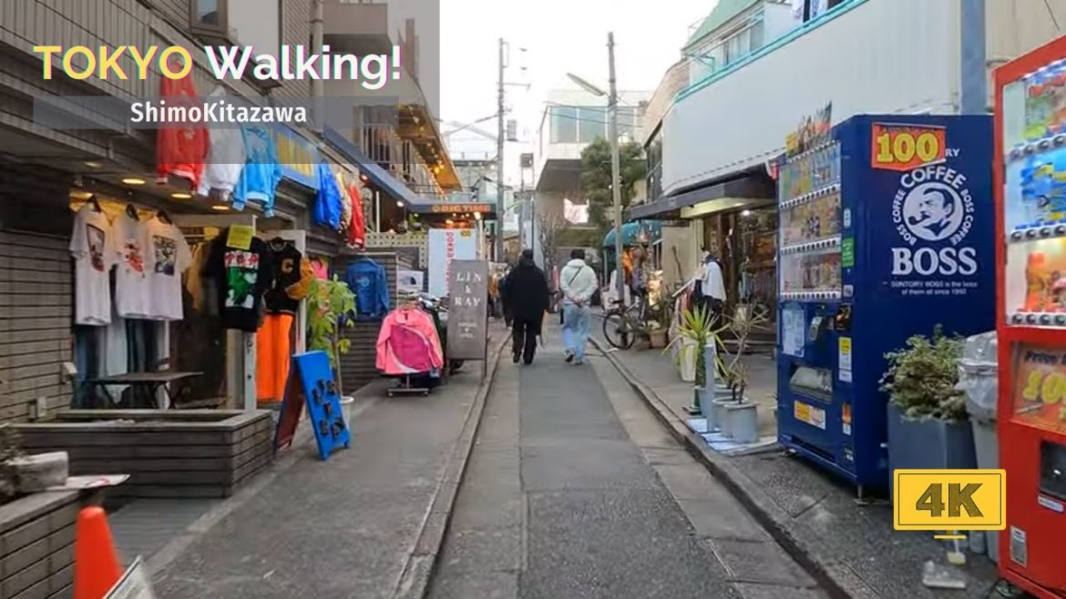 【4K/60fps】Tokyo Walk Tour in ShimoKitazawa, Jan 2022