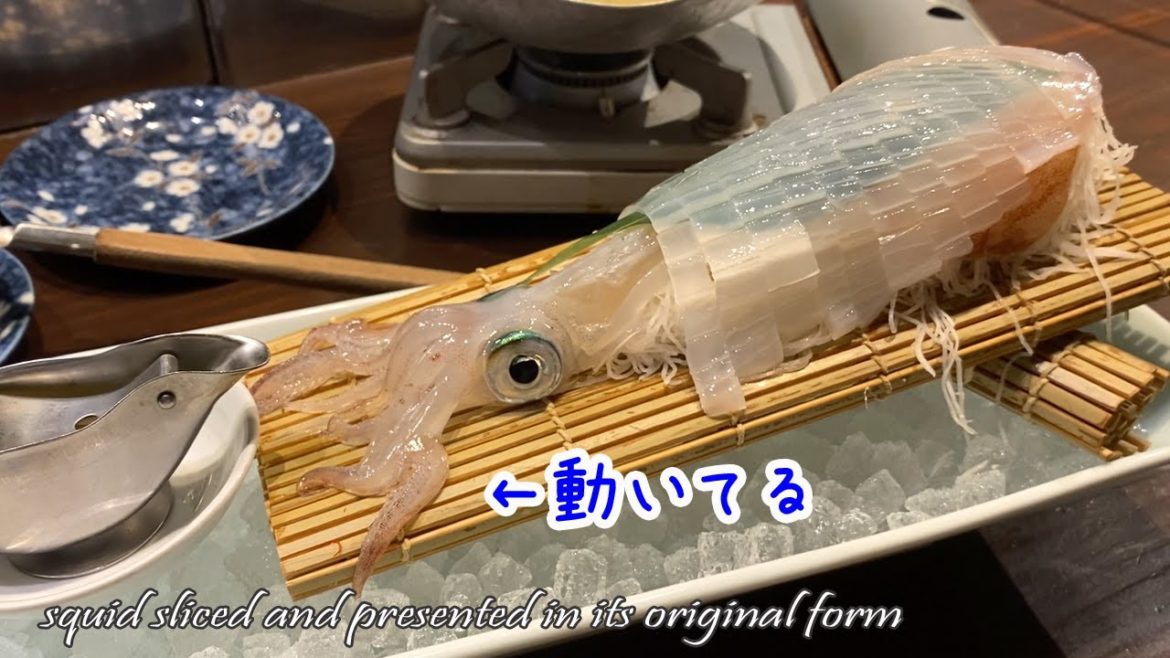 【🇯🇵 博多グルメ】福岡に来たらこれも食べてほしい！踊るイカの活き造り♪｜博多駅前｜炉端焼き｜