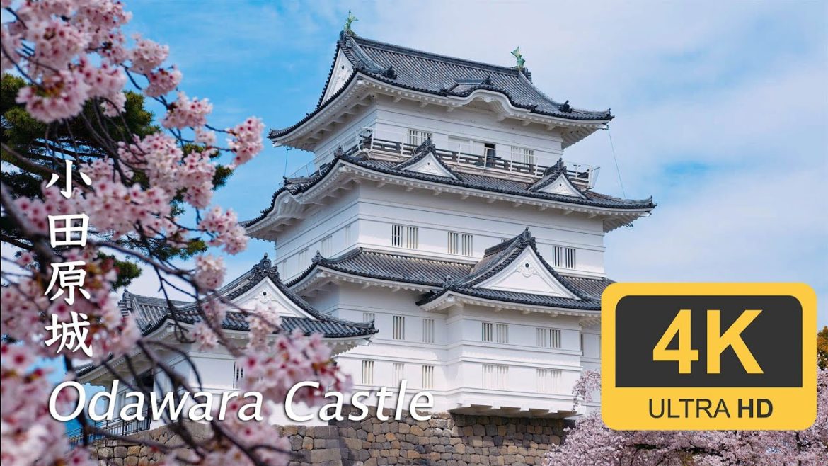 Odawara Castle (Cherry Blossom) – Kanagawa – 小田原城桜 Odawara Castle (Cherry Blossom) - Kanagawa - 小田原城桜