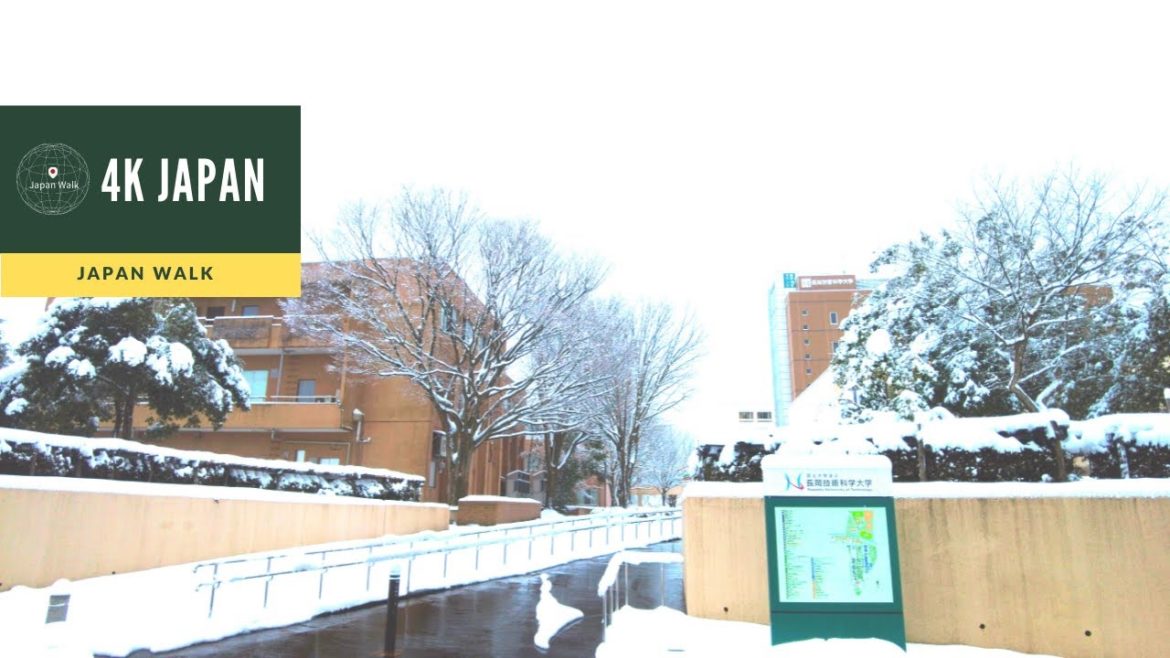 Snow 4K Japan Walk - NIIGATA Nagaoka University of Technology  Neighborhood Walking Tour | 新潟長岡 2021