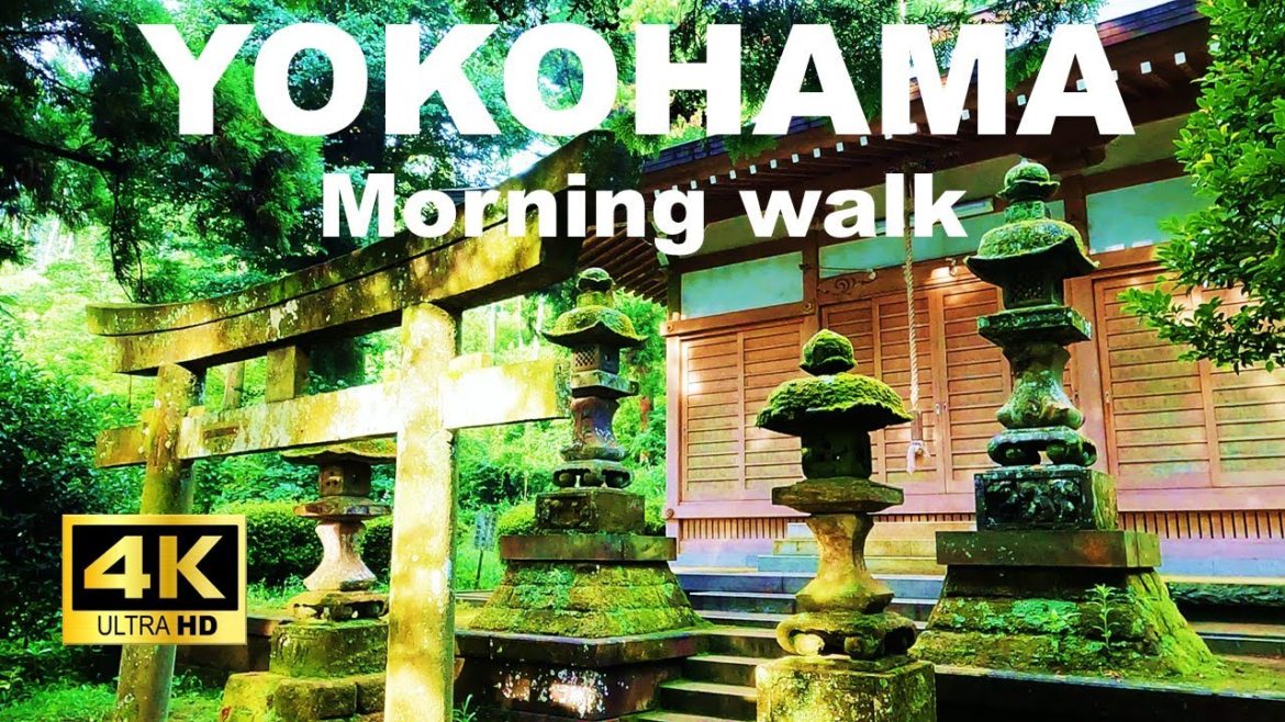 【4K】Yokohama Walking Tour - Asaina Kiridoshi (Ancient Road to Kamakura)
