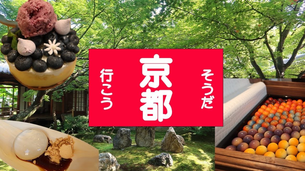 【京都】主婦のグルメと観光！りゅうのひげランチ/トロッコ列車/建仁寺で『そうだ京都行こう』
