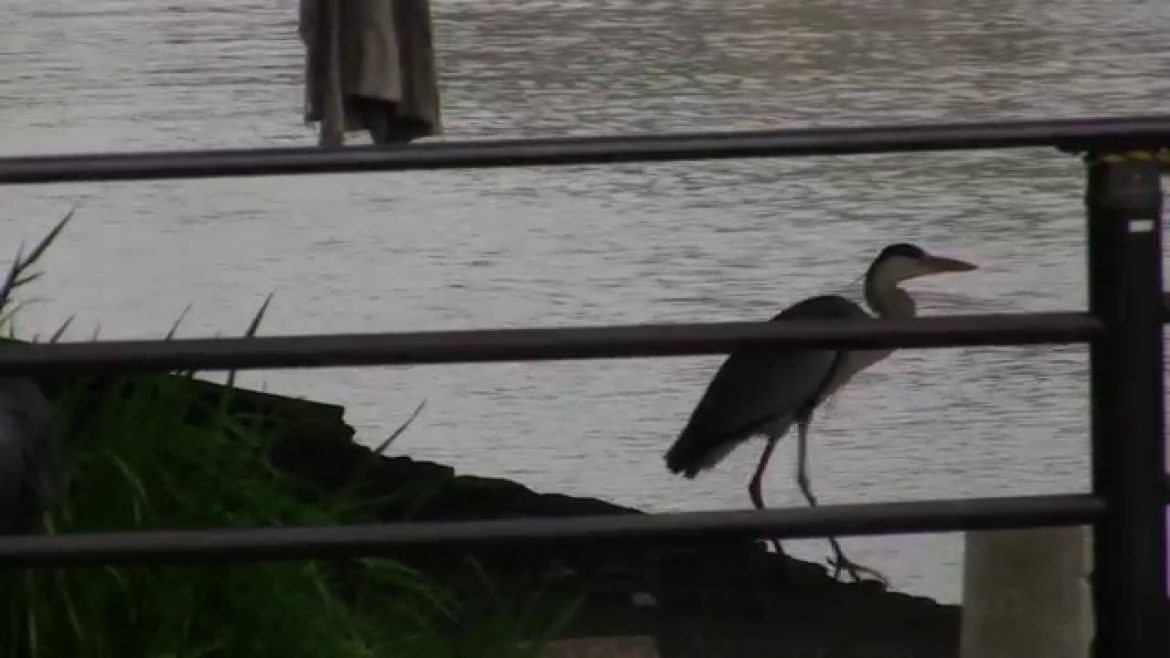 Yonago-Matsue-Sakaiminato Cities around Nakaumi 米子-松江-大根島-境港 中海圏域の風景
