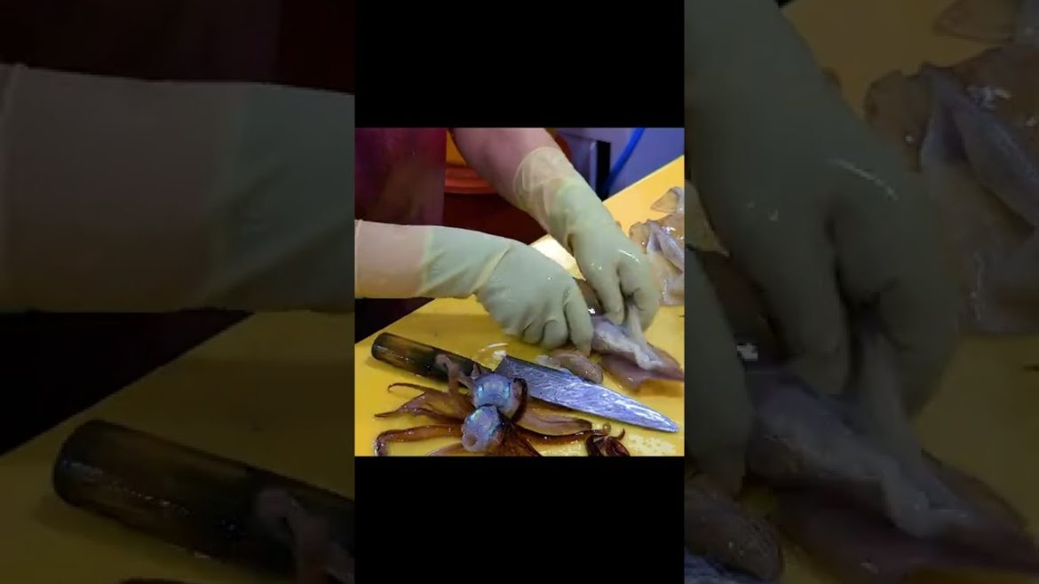 street food asmr food fish cutting korean food asian seafood sashimi making video #shorts 020822 11