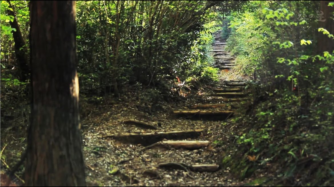 旅の星 Tabinohoshi 「世界遺産 熊野古道 中辺路」 Kumano Kodo, Japan vol.2