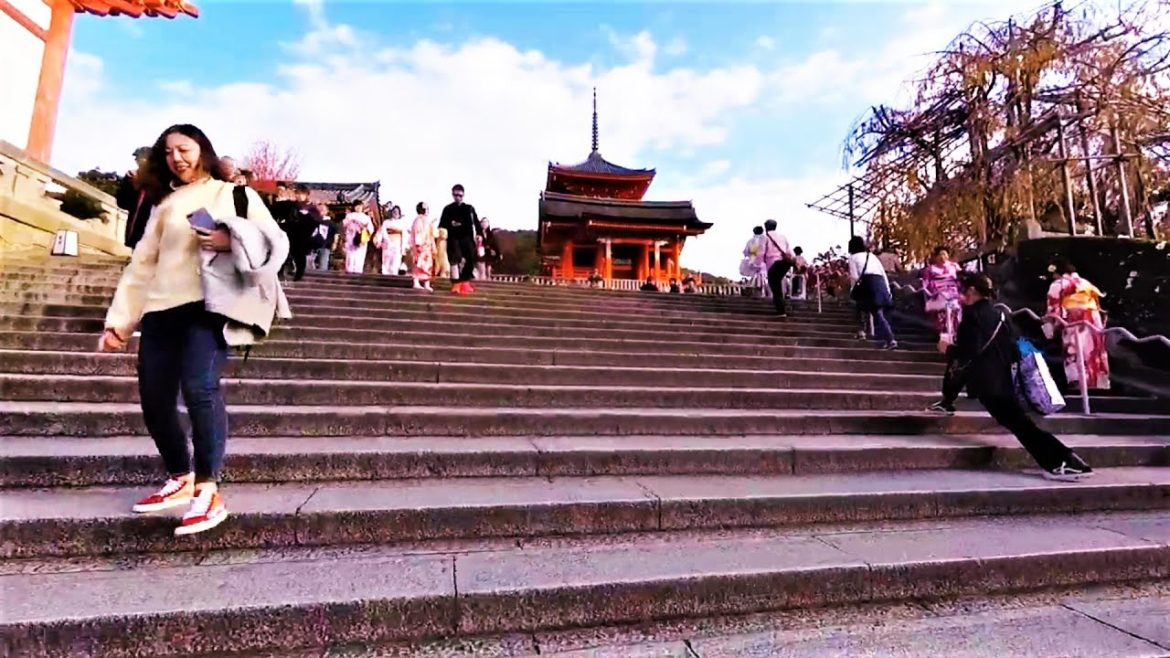 Kyoto Walk ||  Let's Explore Kyoto in 1 Minute || Part 1 ||  #shorts