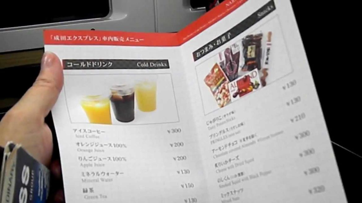 Useful tips about Tokyo's Narita Express
