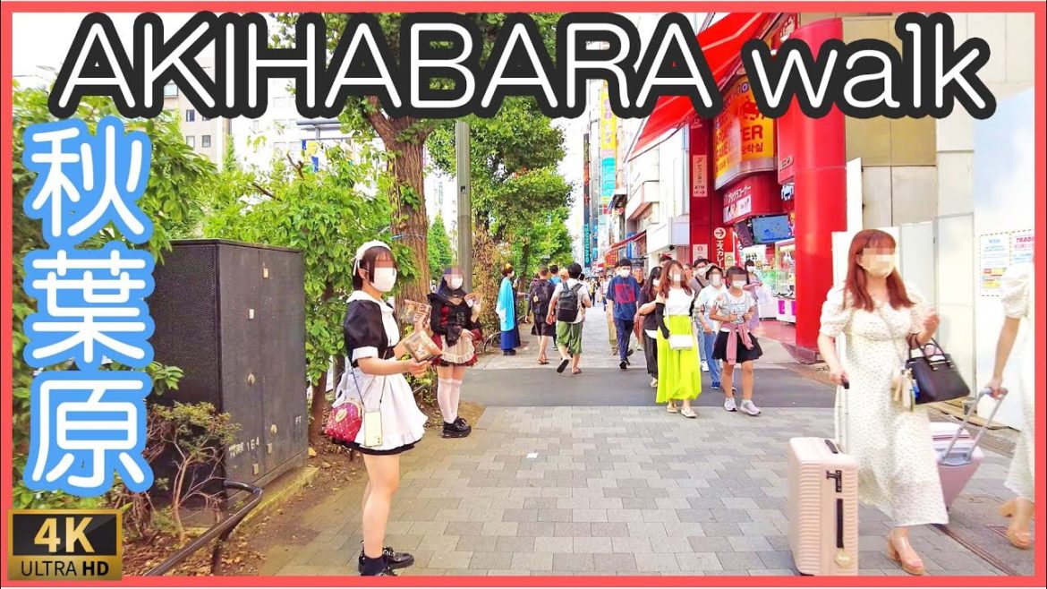 tokyo walking tour 2022 : Akihabara maid street , 秋葉原 散歩 歩行者天国 4K tokyo walking tour 2022 : Akihabara maid street , 秋葉原 散歩 歩行者天国 4K