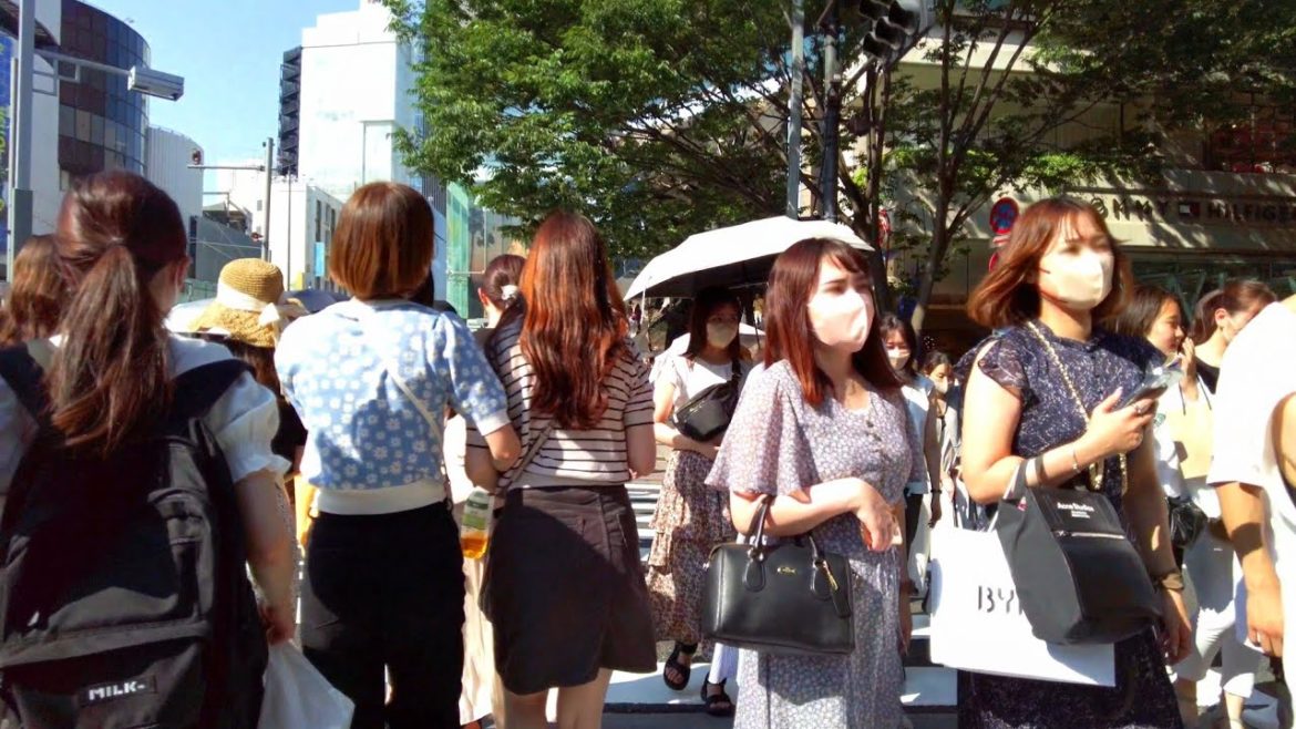 【4K】Tokyo Omotesando and Cat Street are Best Places for Holiday | Sunny Day’s Walk 【4K】Tokyo Omotesando and Cat Street are Best Places for Holiday | Sunny Day’s Walk