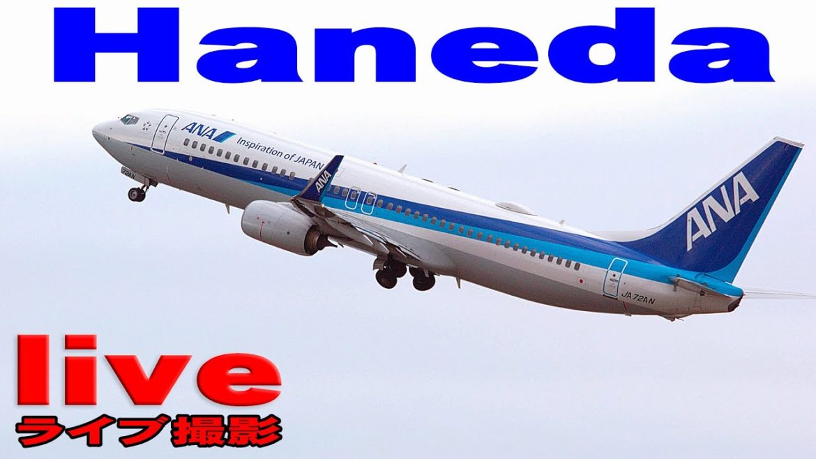 羽田空港展望デッキ　ライブ配信