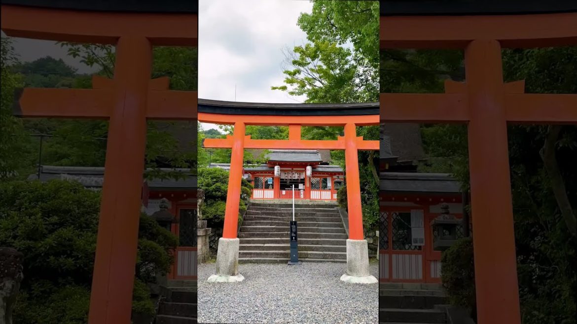Asagiri Bridge → Uji Shrine (Kyoto) #Shorts