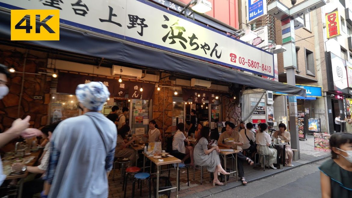 Online Tour of Japan🚶🏻‍♀️ Ameyoko Street , Ueno 🇯🇵 | SELP1635G |‬ Walking in Japan 4K