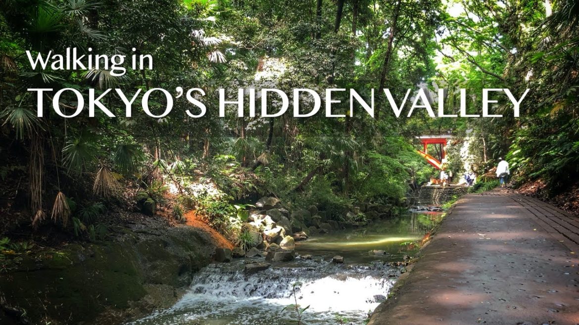 Tokyo's Hidden Valley and Temple | May 2021 Japan Walking Tour | HD Tokyo's Hidden Valley and Temple | May 2021 Japan Walking Tour | HD