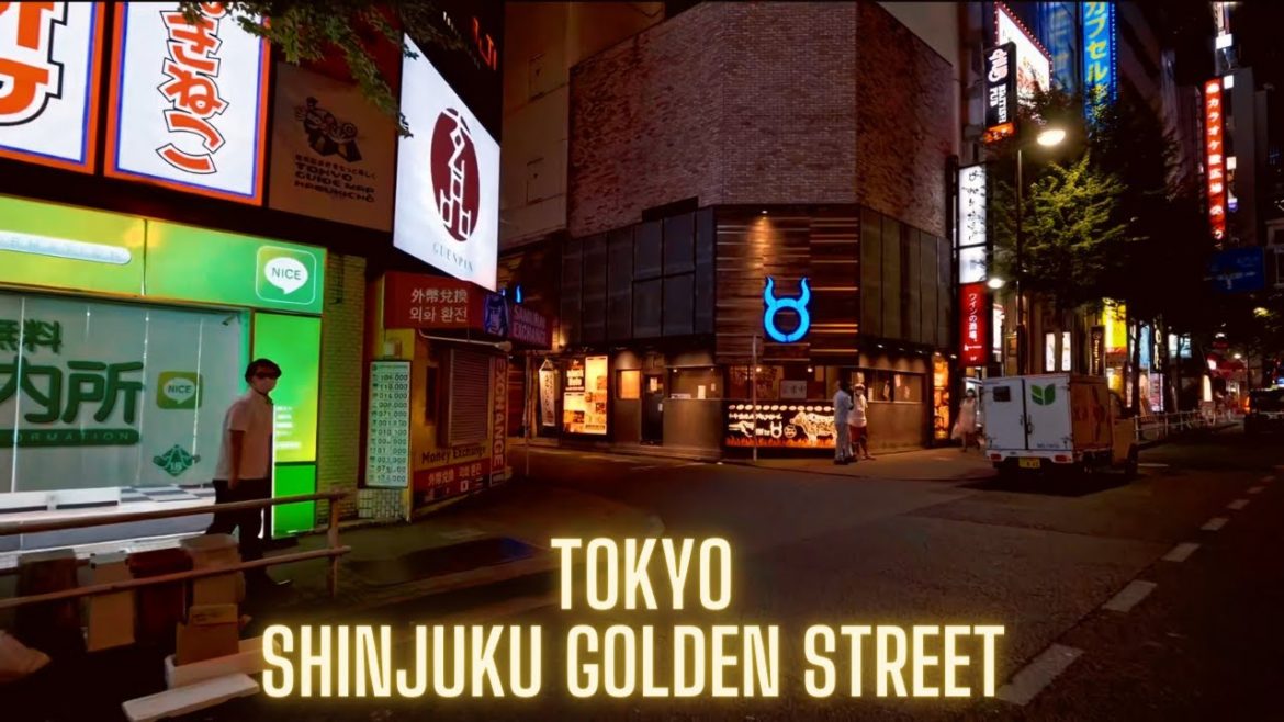 😍 Night Walk In Tokyo – Shinjuku Golden Street – Japan Walking Tour 夜の新宿歌舞伎町をお散歩 😍 Night Walk In Tokyo - Shinjuku Golden Street - Japan Walking Tour 夜の新宿歌舞伎町をお散歩