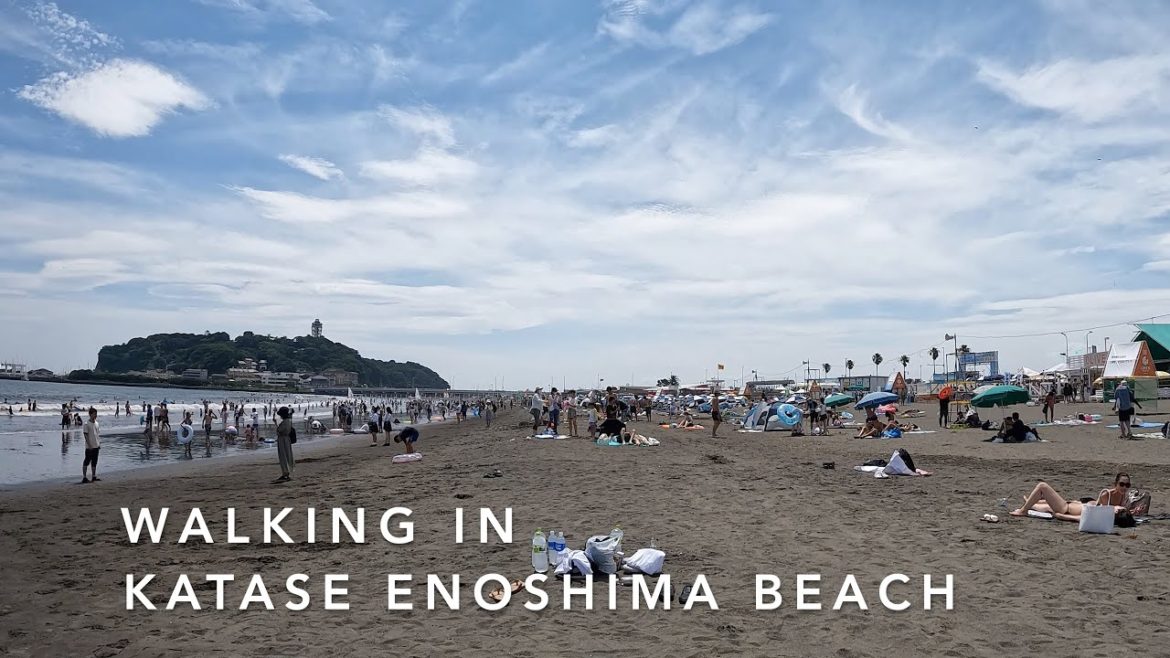 DAY TRIP FROM TOKYO/ENOSHIMA KATASE BEACH