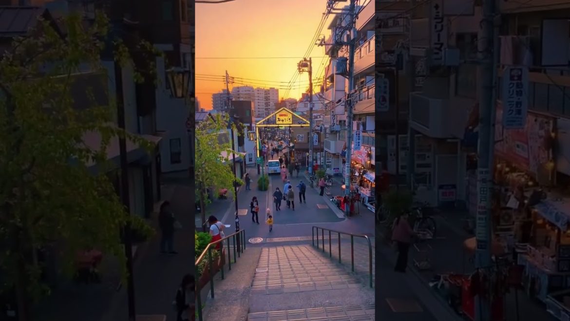 Best times in Japan 🇯🇵🌞#shorts