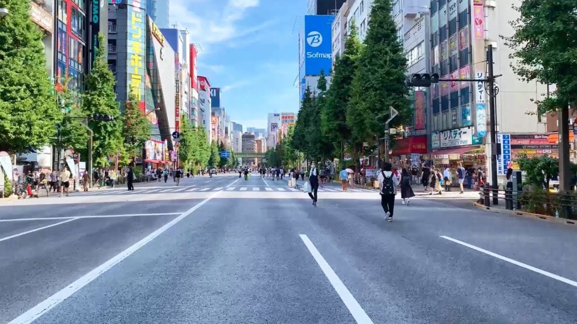 Tokyo Japan – 15:00 PM Live Walk Tokyo Japan - 15:00 PM Live Walk