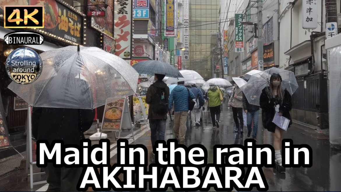 Maid in the rain in AKIHABARA - 4K Tokyo Japan