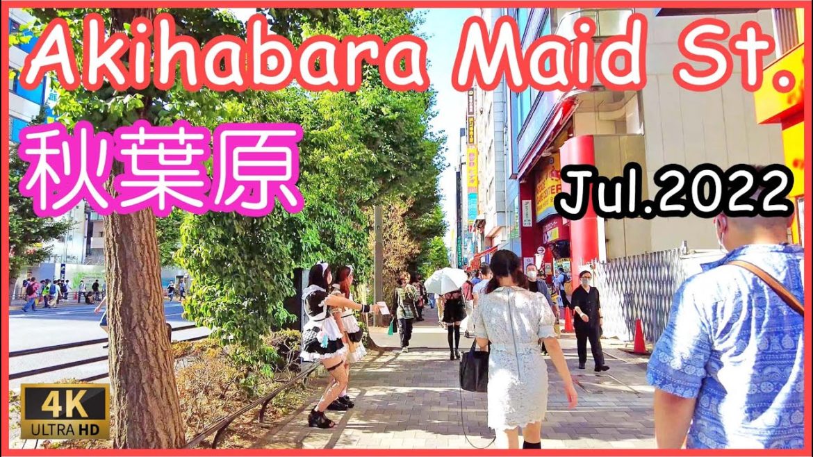 tokyo walking tour 2022 : Akihabara maid street walk 4K 秋葉原 メイド通り 散歩