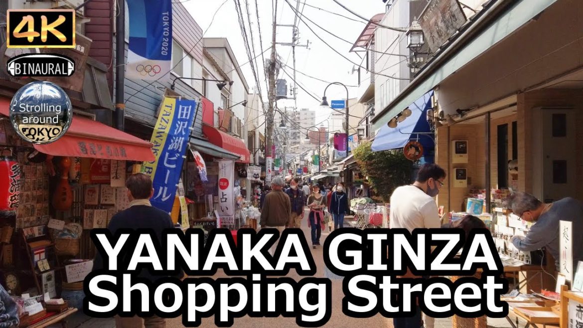 YANAKA GINZA Shopping Street Walking Tour – 4K Tokyo Japan YANAKA GINZA Shopping Street Walking Tour - 4K Tokyo Japan