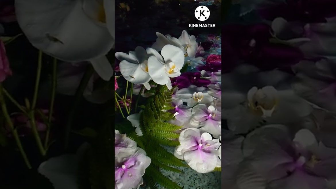 小樽住吉神社例大祭で2022年第4回花手水ライトアップバージョンを見てきた💡 小樽住吉神社例大祭で2022年第4回花手水ライトアップバージョンを見てきた💡