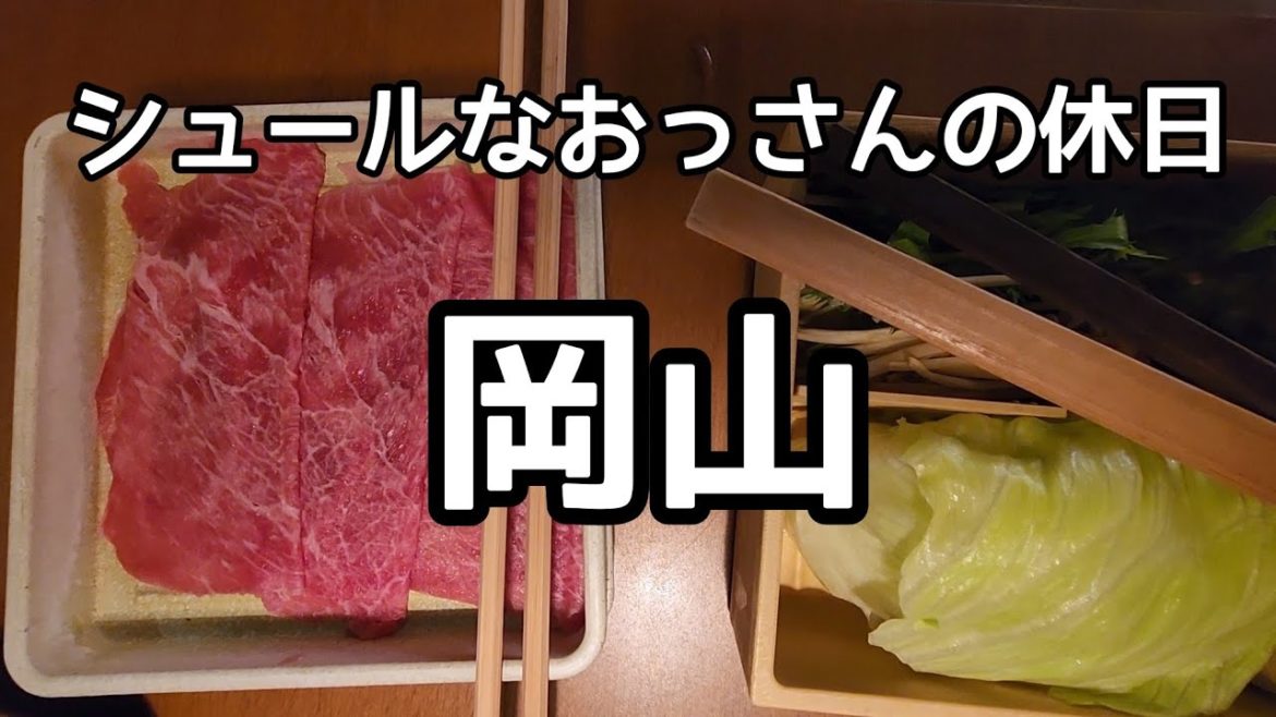 シュールなおっさんの休日【岡山】直島から岡山へ