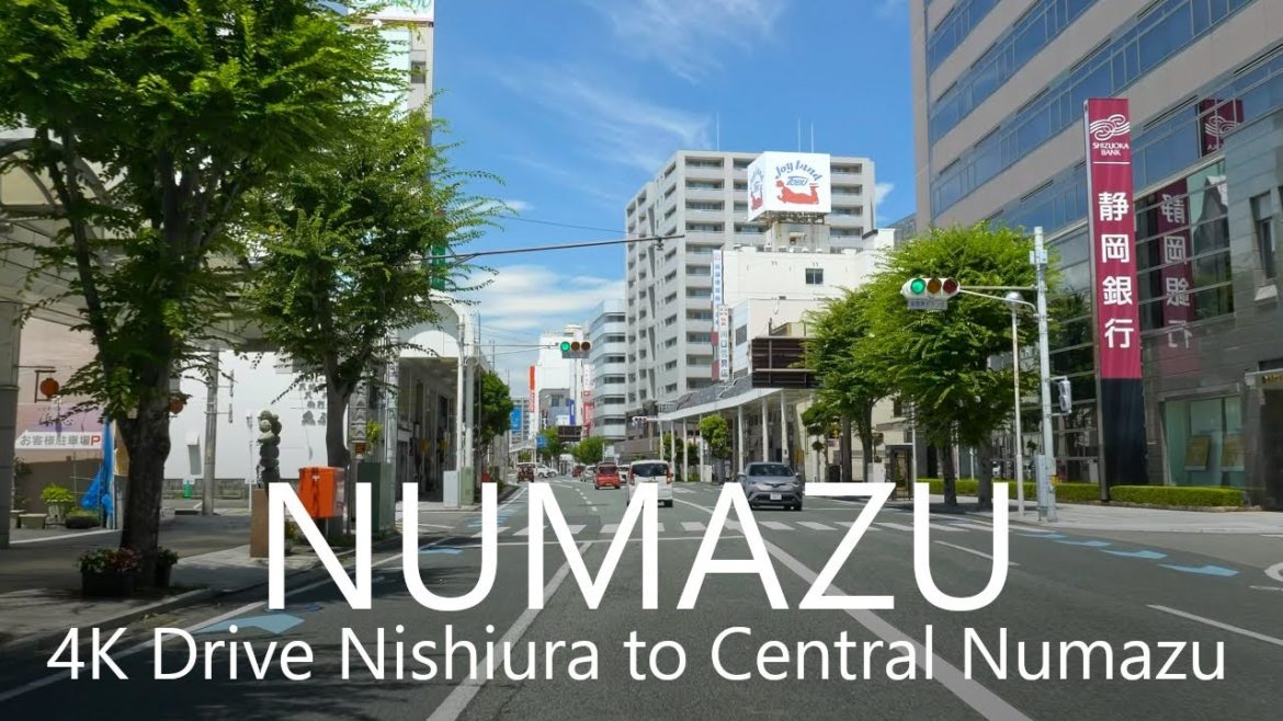 4K Drive Nishiura to Central Numazu City, Shizuoka / 西浦→沼津中心部